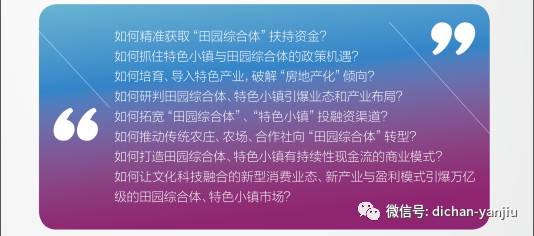 解析澳门未来蓝图，特征释义与落实策略