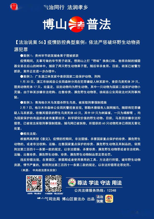 新澳门资料大全正版资料免费下载，家野中特案例释义与落实策略