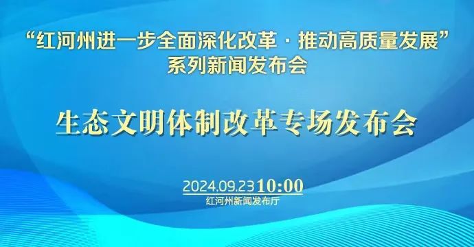 探索前行之路，以新澳六为引领，深化理解与落实行动